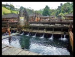 Tirta Empul, manantiales sagrados, en Bali