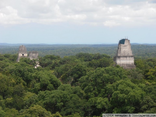Tikal vista
Una de las piramides mas altas de Tikal. Despues de la agotadora subida, puedes disfrutar de esta vista, con la selva a tus pies, y los picos o otras piramides del parque asomando por las copas de los arboles.
