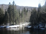 Rio Jaques Cartier
Parque Nacional Quebec Canada