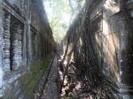 Beng Mealea Camboya
Camboya Angkor Siem Reap Templo