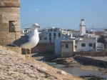 Essaouira