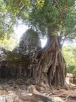Templo Ta Som Camboya
Camboya Angkor Siem Reap Templo