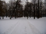Parque Lazienski
Varsovia