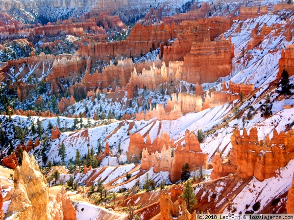 Invierno en Bryce
La nieve le sienta muy bien a este lugar de fantasía.
