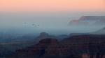 Bandada de cuervos sobre el Gran Cañón
Atardecer, Gran Cañón, Grand Canyon, Parques Nacionales EEUU, Arizona