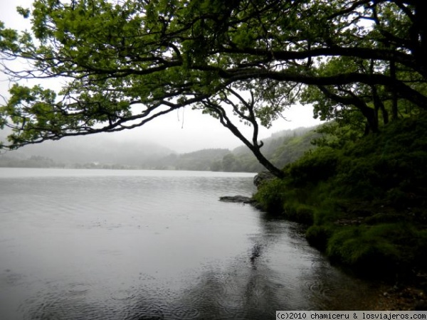 Loch Chon. The Trossachs. Escocia
Loch Chon. The Trossachs. Escocia
