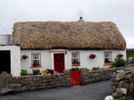 Cottage and dog