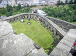 Cementerio canino