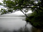Loch Chon. The Trossachs. Escocia