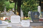 Cementerio en Mostar