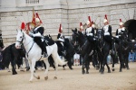 Horse Guards Parade, Londres
Horse, Guards, Parade, Londres, Cambio, guardia, montada