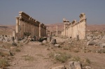 Apamea. Siria. 10/2007