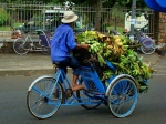 Haz ciclismo
Vendedor, Hanoi, ciclismo, ambulante
