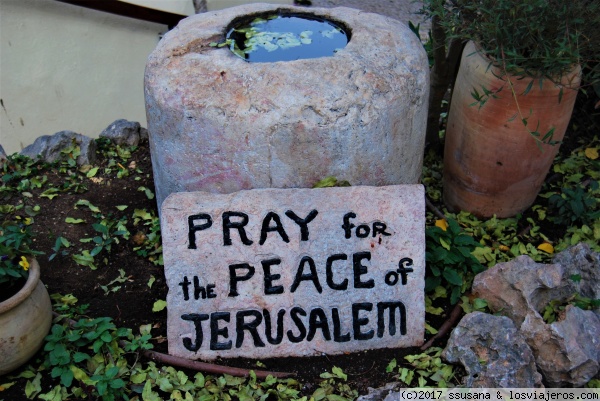 PAZ
La Tumba del Jardín, extramuros, es lugar de peregrinación de protestantes y evangélicos que afirman que éste es el lugar exacto donde tuvo lugar la crucifixión de Cristo y donde se halla su tumba.
Un lugar más sobrio y tranquilo que la Basílica del Santo Selpulcro se ajusta más a la fe reformista.
