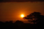 Sunrise on Amboseli