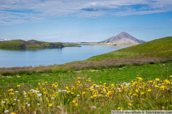 Lago Myvatn - Islandia
Hay que aguantar a los mosquitos, pero merece la pena
