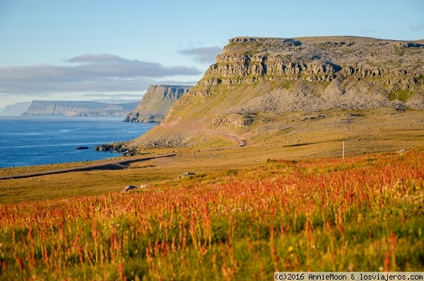 Vistas desde Látrabjarg - Islandia
La primera parada en los fiordos del oeste
