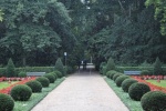 Lluvia
Lluvia, Chaparron, Tiergarten, Berlin