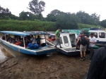 Embarcadero el a Pavona
Embarcadero, Pavona, Lanchas, Tortuguero, esperando, para, traslado