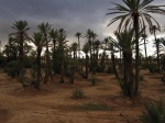 Paisaje artificial?
Paisaje, Palmeral, Marrakech, Parece, artificial, sorprendió, esta, fotografía, tomada, maqueta, verdad