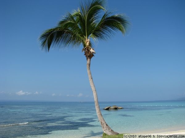Playa privada cayo levantado con palmera
palmera playa privada,con plamera
