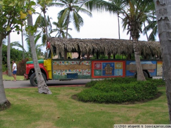 Guagua bávaro
pedazo guagua
