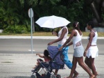 Paseillo por la Habana
cuba