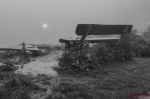 Niebla en bosque de Bergen