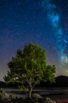 Via Lactea en Bosque de Darnius.Girona