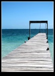 Esperando al barquero.
Esperando, Puente, Cancun, barquero, espera, turista, playa, tortugas