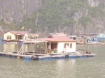 Bahía de Halong
Bahía, Halong, Casa, flotante, halong