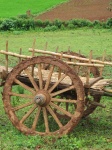 Carro en el campo