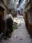 Calle en Varanasi
