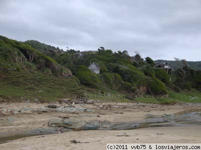 Casas de tejuelas en Tril Tril
En la bella Playa de Maicolpué, ubicada en la costa de Osorno Chile, se encuentran estas casas hechas con tejuelas de alerce. Construcción típica del sur de Chile, aunque el árbol actualmente está en peligro y está prohibido su corte, se están usando tejuelas de otras especies.
