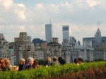 View from the Terrace of the MET