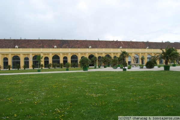 Orangerie, Palacio de Schombrun, Viena
Este edificio alberga uno de los muchos invernaderos del palacio
