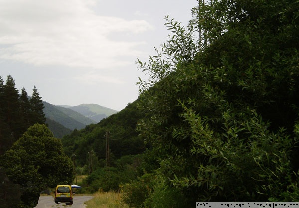 Carretera a Rila
De camino al Monasterio de Rila pueden disfrutarse estos preciosos bosques
