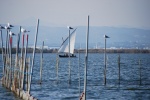 Barco de vela en la Albufera