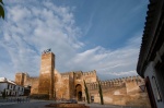 Alcázar de la Puerta de Sevilla