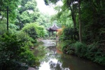 Pagoda de las 6 armonias. Hangzhou, China.