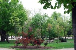 Parque del Retiro en primavera