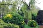 Parque del Retiro en verde y oro