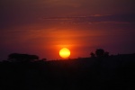 Puesta de sol en Kenia
Ocaso ocaso Puesta de Sol puesta de sol