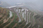 Terrazas de arroz. Lonjhi, China