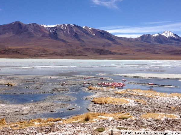 Laguna Hedionda
No hay palabras para describir este contraste de colores...... la foto no le hace justicia!
