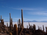 Salar de Uyuni