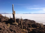 Salar de Uyuni
Salar, Uyuni, Isla, Incahuasi, Pescado, confundir