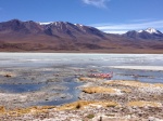 Laguna Hedionda
Laguna, Hedionda, palabras, para, describir, este, contraste, colores, foto, hace, justicia