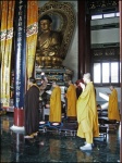 Rezos
Rezos, Grupo, Lumbini, Nepal, monjes, budistas, rezando, templo, chino