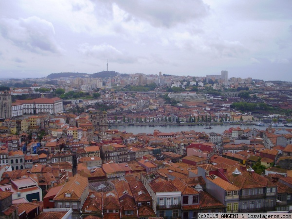 Vista de Oporto desde la Torre Dos Clerigos
Desde arriba de la Torre se pueden disfrutar de unas magníficas vistas de la ciudad de Oporto
